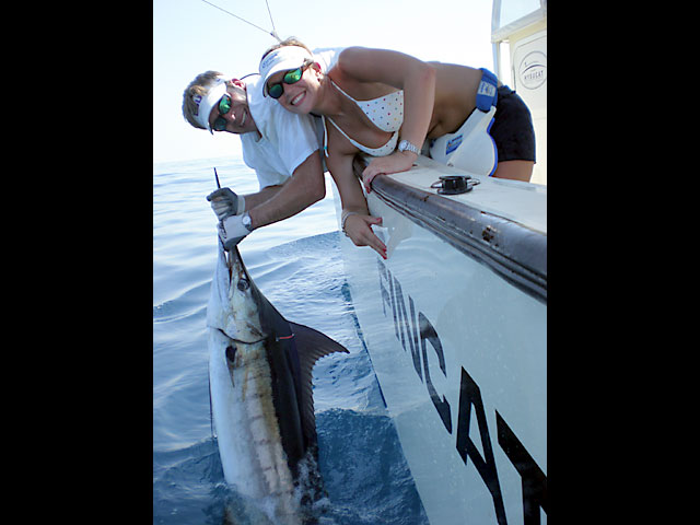 15.blue-marlin.bullwinkle.2